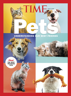 Pets - Understanding Our Best Friends